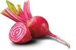 Candy Striped Beet