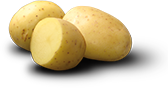 Yukon Gold Potato
