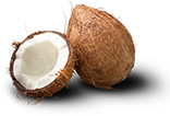Coconut
