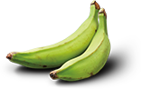 Plantain