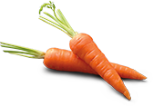 Carrot